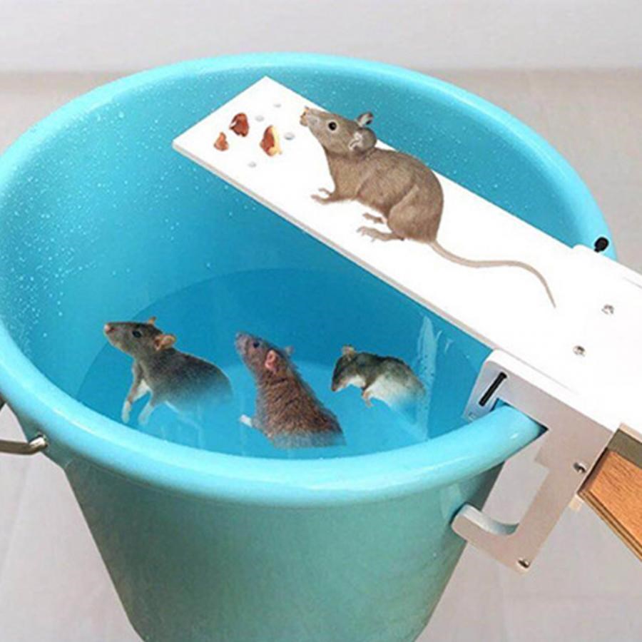 DIY Home Garden Pest Controller Rat Trap Quick Kill Seesaw M