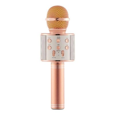 WS-858 Wireless Bluetooth Karaoke Handheld Microphone SB KTV