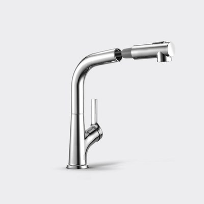 Diiib New Kitchen Sink Faucet With Pull Out Rinser Sprayer 2