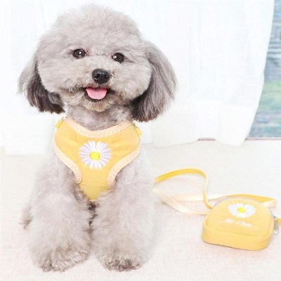 Dog Harness And Leash With Treat Bag Embroidery Breathable M