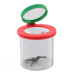 Children Cylindrical Crawler Spider Insect Viewer Box Magnif