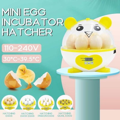220V Eggs Incubator Brooder Automatic Farm Incubation Tools