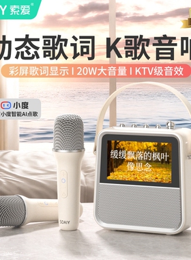 SOAIY索爱BK02蓝牙音箱带歌词显风话筒儿童K歌家庭ktv音响示麦克