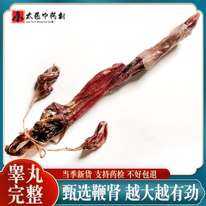 海鞭狗鞭干带睾丸整具食用泡酒料