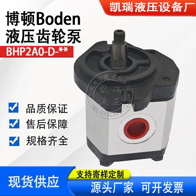 新款Boden齿轮泵BHP2A0D14T0L1 2A0A14D-V-LW 2SPA14D-V压缩包邮