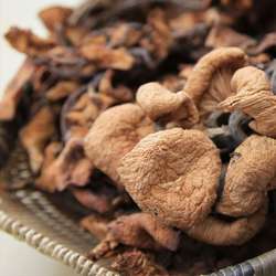 野生青冈菌茶树菇青杠菌树秋菌老鹰菌鸡丝菌青冈菌产蘑菇煲汤干货