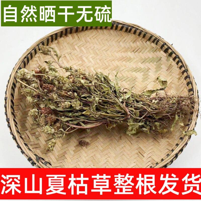野生夏枯草整株带根四川野生天然无硫夏枯草食用白毛夏枯球整株发