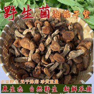 野生正宗油菇精选未开伞野生菌菇蕾野蘑菇菌子干货煲汤空心菌菇朵