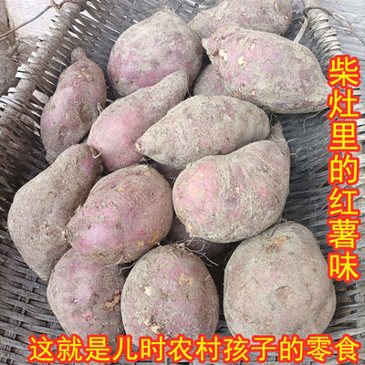 老品种红苕四川重庆现挖新鲜正宗农家板栗薯红皮白心番薯香甜软糯