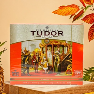 斯里兰卡进口红茶 帝多锡兰红茶袋泡茶100g下午茶茶包独立包装