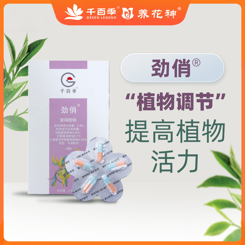 千百季复硝酚钠胶囊生根壮苗剂促生长月季兰花绣球植物生长调节剂