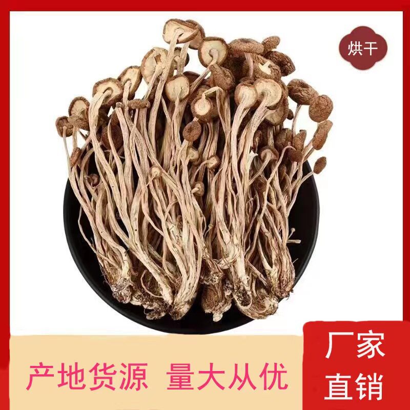 云南干茶树菇代发茶树菇茶树菇干货散装原产地直销 500g
