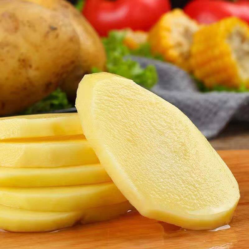 土豆片新鲜黄心土豆价马铃薯当季蔬菜现挖1/5/10斤工厂