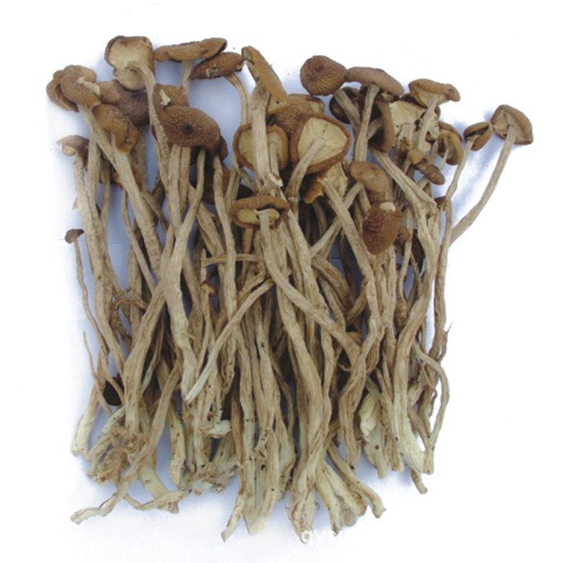 茶树菇古田食用菌无碎茶树菇干货不开伞500g