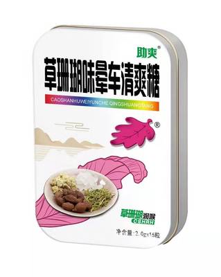 晕车晕船清爽润含片 胖大海西瓜清爽糖食品