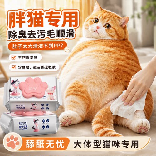 猫咪清洁湿巾生物酶除臭清洁去污