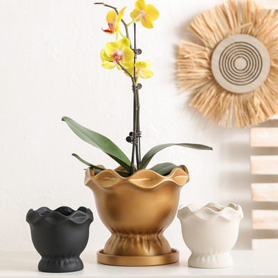 花边纯色渐变素烧陶瓷花盆带托盘