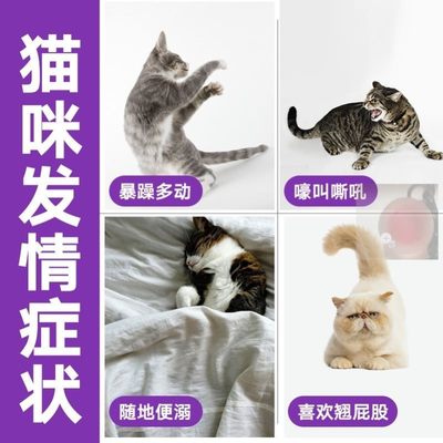 猫咪禁情粉母猫公猫宠物专用情欲闹猫叫喵清静绝育绝情禁情液1