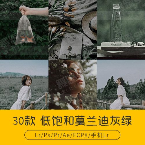 LR预设莫兰迪低饱和灰绿lightroom森系人像风景静物PS滤镜LUT调色