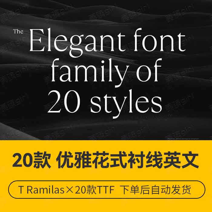 复古优雅花式时尚杂志品牌书籍海报排版英文衬线字体 设计师素材