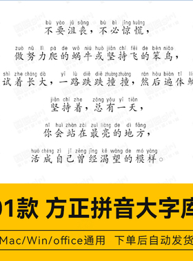 方正拼音字义汉音注音大字库优化字设计学习办公word/mac/win通用