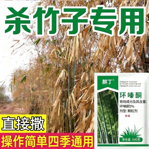环嗪哃酮铜竹子烂根专用药杀竹药