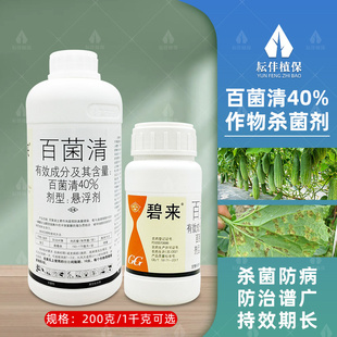 国光碧来40%百菌清黄瓜通用霜霉病菌百清蔬菜农药杀菌剂农用专用