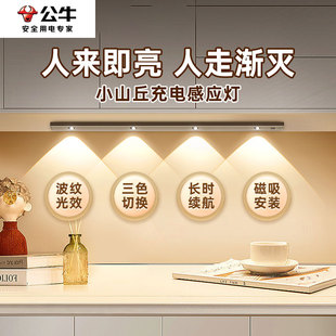 公牛智能感应橱柜灯led灯条带无线自粘入户门玄关鞋柜进门充电