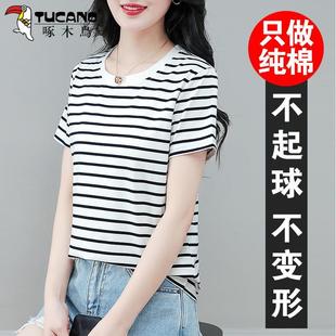 啄木鸟黑白条纹短袖 宽松洋气休闲妈妈纯棉上衣 T恤女2025新款 夏装