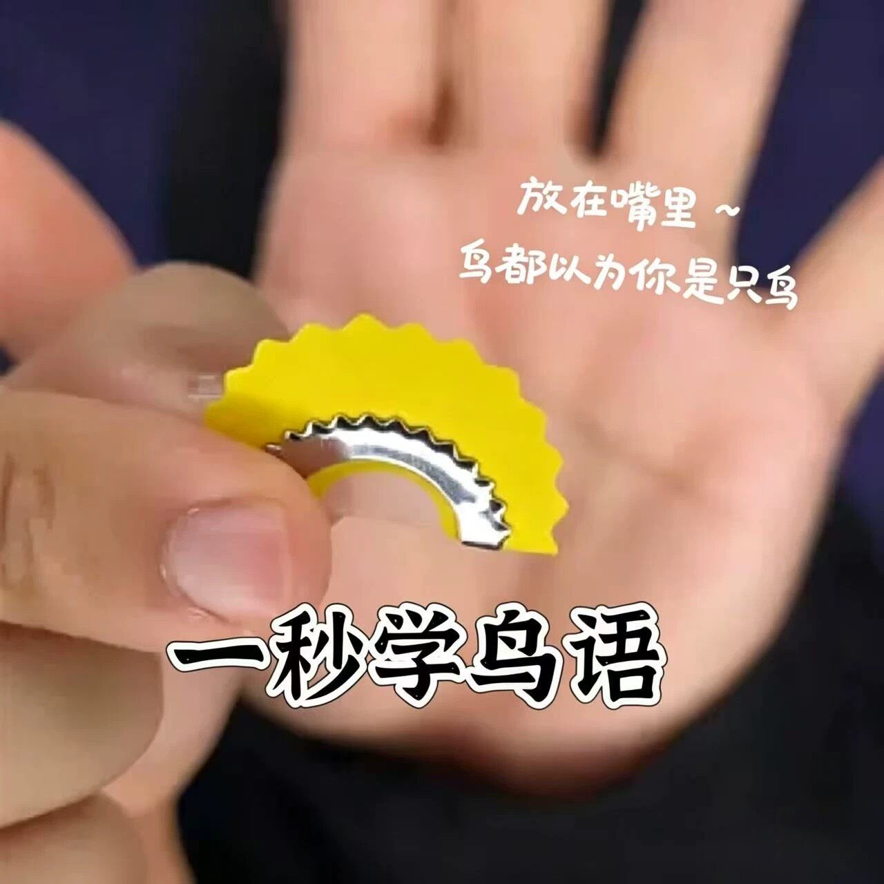 新奇魔术鸟叫口技道具神器模仿鸟鸣腹语含嘴巴玩具鸟哨口含贴片 - 实物图