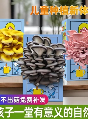 蘑菇种植菌包平菇蘑菇盒家庭室内种植蘑菇科学小实验儿童益智玩具