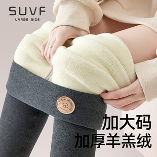 秋冬加厚羊绒胖mm200斤分压显瘦塑形打底裤 女2025新款 鲨鱼裤 大码