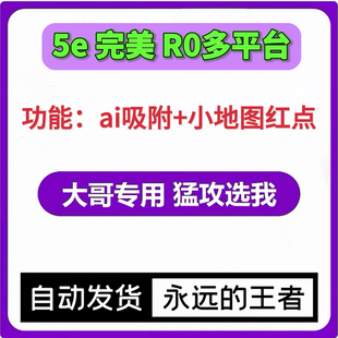 CS2/R0/5e/完美/官匹/ai吸附/小地图雷达红点/主播同款辅助上分工