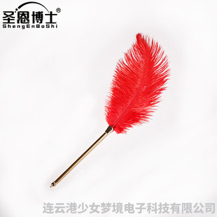 圣恩博士魔术道具羽毛棒拍情侣好物挑逗玩具用品小皮鞭