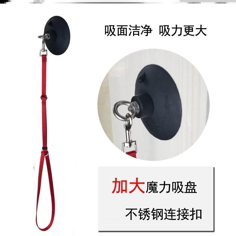 狗狗洗澡固定器剪毛美容台栓狗桩宠物固定绳猫咪防跑支架吊绳吸盘