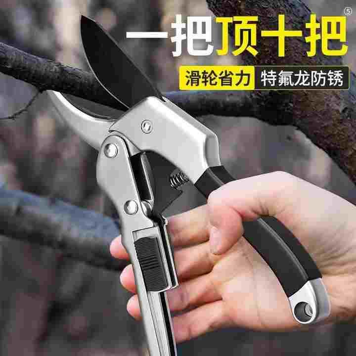 剪树枝专用剪刀果树修枝剪家用剪子修花木剪园艺园林省力粗枝剪刀