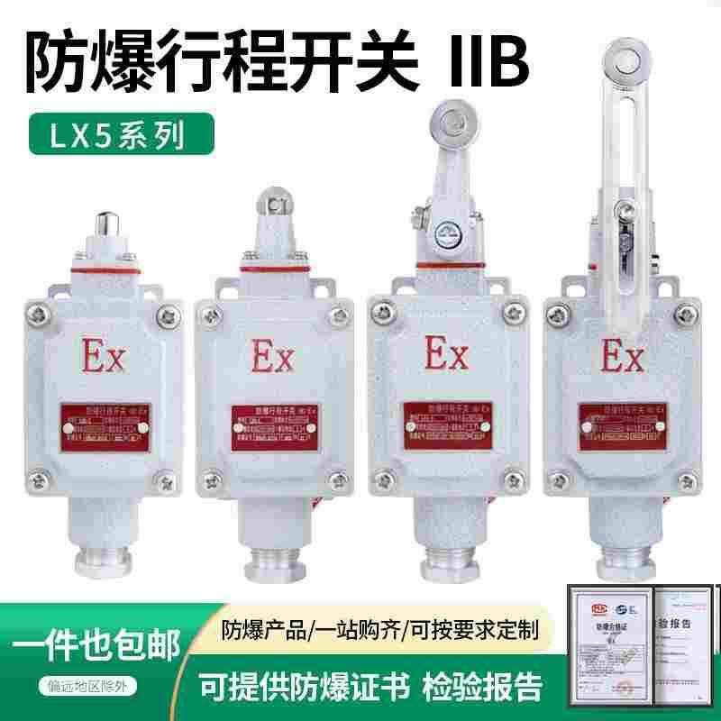 防爆行程开关 限位开关 B型DLXK LX5-15B/5d脚踏双踏柱塞lx5-D滚