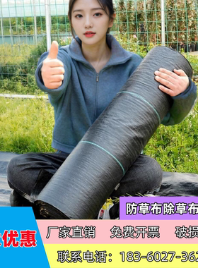 农用防草布除草布果树盖草遮草布切片保湿抗老化地布地丁厂家直销
