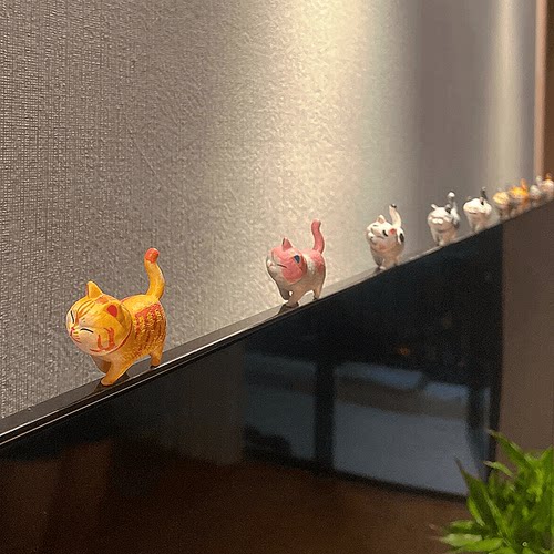 【啊！傲娇小猫咪！】超级可爱！