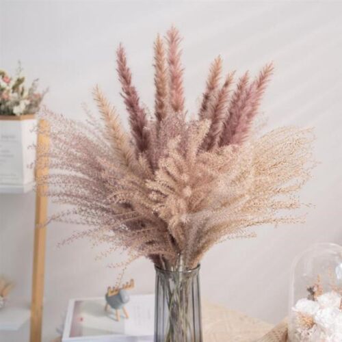 30pcs Dried Flowers Small Reed Natural Dried Small Pampas Gr