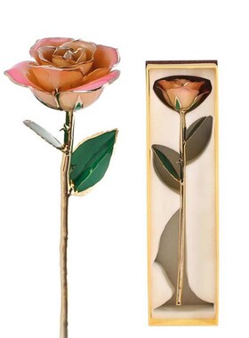 Plastic Pink White Gold Rose ZJchao Gold Rose Love Forever L