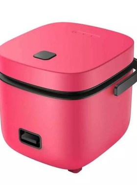 Mini Electric Rice Cooker Home Kitchen Appliances 2-layer He