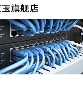 3.3ft ft Blue Ethernet Internet LAN CAT5e Network Cable for