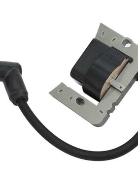 Ignition Coil for Tecumseh Ignition Coil Professional Manufa