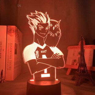 Acrylic Led Night Light Anime Haikyuu Shoyo Hinata Figure fo