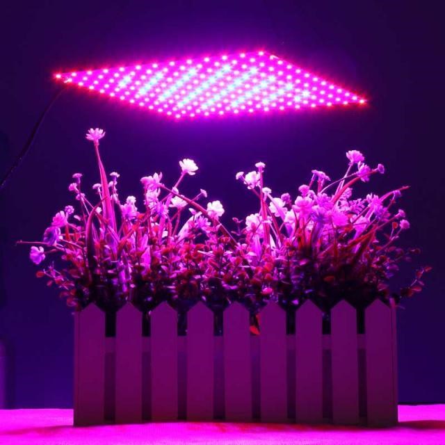 AC85-265V 3000W Full Spectrum Indoor LED Grow Lamp For Plant