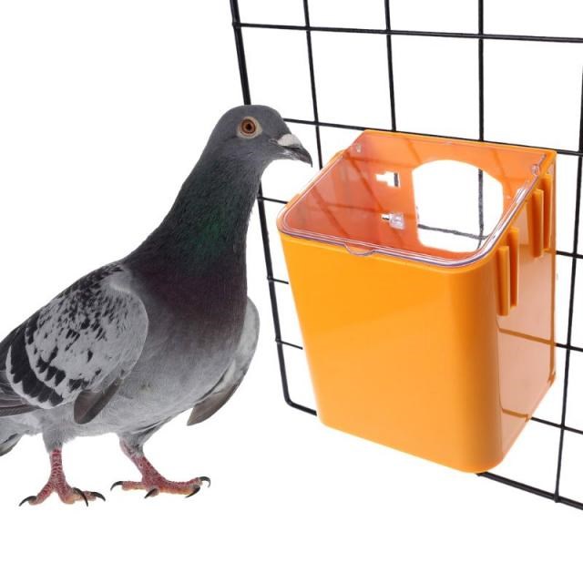 Pigeon Feeder Water Feeding Plastic Food Dispenser Pet Birds