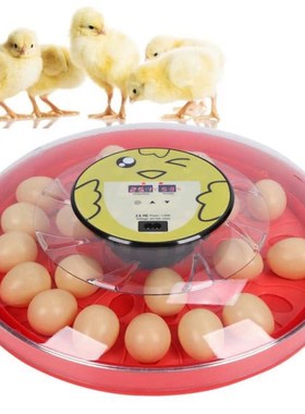 30 Eggs Automatic Incubators Environmentally Friendly Egg Ha