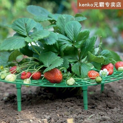 Balcony Vegetable Strawberry Rack Fruit Supports Plant Suppo