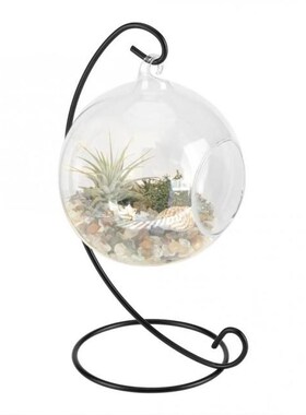 Hanging Glass Vase Large Terrarium with Frame for Air Plants